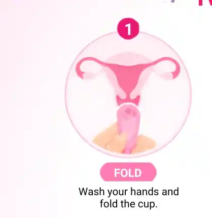 Step 1: Fold the cup