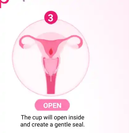Step 3: Cup opens and seals