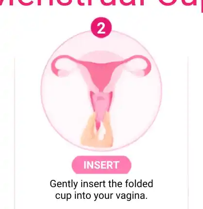 Step 2: Insert the cup